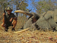 Monty-Kalogeras-Elephant-l